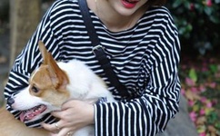 电视剧不能失去你